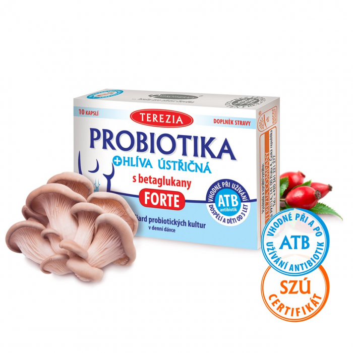 Probiotika + hlíva ústřičná s betaglukany FORTE 10 kapslí 